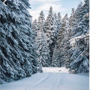 Meet your Posher, YV